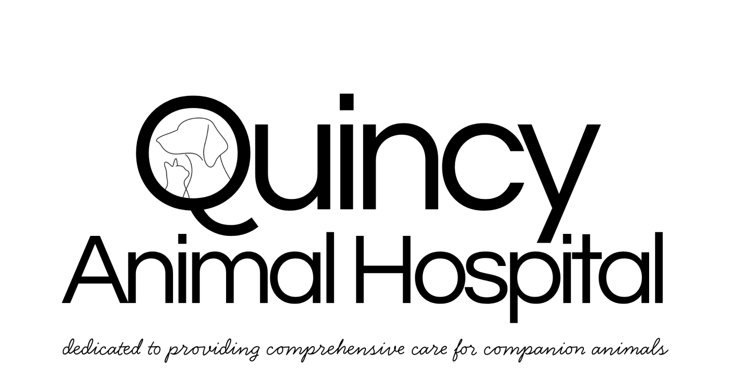logo text